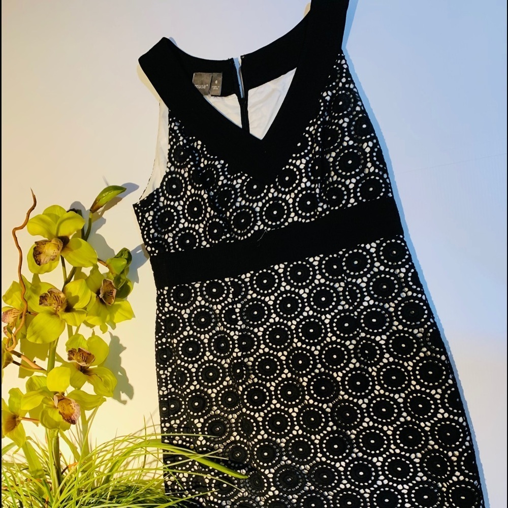 Muse Black & White dress size 6